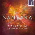 The Waiting Sky アドヴェントとクリスマスの音楽集