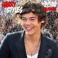 Harry Styles / 2014 Calendar (Kingfisher)