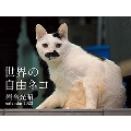 2022カレンダー 世界の自由ネコ