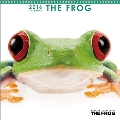 (ミニ)THE FROGミニ 2016 カレンダー