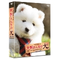 連続テレビドラマ 犬飼さんちの犬 DVD-BOX