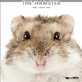 THE HAMSTER 2016 カレンダー