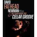Cellar Groove