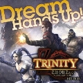 Hands Up! TRINITY Zill Oll Zero Edition [CD+DVD]