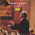 ≪シュトラウス・コンサ-ト≫