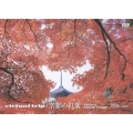 virtual trip 京都の紅葉＜低価格版＞