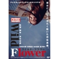 青春H2 Wild Flower ワイルド・フラワー