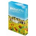 遅咲きのヒマワリ～ボクの人生、リニューアル～ DVD-BOX