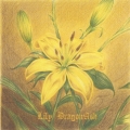 Lily＜通常盤＞