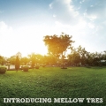 INTRODUCING MELLOW TRES