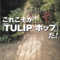 これこそが「TULIP ポップ」だ! The Complete Single Box [21CD+7inch]＜初回生産限定盤＞