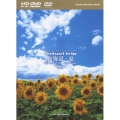 virtual trip 北海道・夏 HD SPECIAL EDITION [HD-DVD+DVDツインフォーマット]