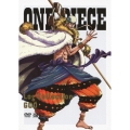 ONE PIECE Log Collection GOD