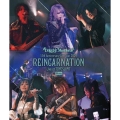 15th Anniversary Live Tour 2024 "REINCARNATION" Live at TOYOSU PIT