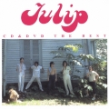 CD & DVD THE BEST チューリップ  [CD+DVD]
