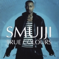 トゥルー・カラーズ～スマッジ・デビュー・アルバム