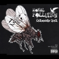 MORAL POLLUTION