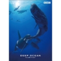 BBC海洋ドキュメンタリー "ブルー・オデッセイ"シリーズ ディープ・オーシャン
