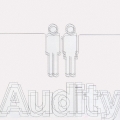 Audity