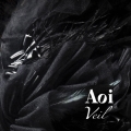 Veil [CD+DVD]