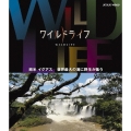 ワイルドライフ 南米 イグアス 世界最大の滝に野生が集う