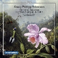 Telemann: The Grand Concertos for Mixed Instruments Vol.1