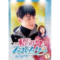私だけのスーパースター～Mr. Fighting～ DVD-BOX2