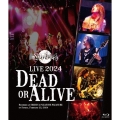 Live 2024 -Dead or Alive-