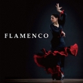 フラメンコ ベスト
