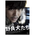 野良犬たち