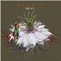 NIGELLA<限定生産盤>