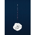 Rose: 6th Single (B Ver.)
