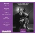 Andre Levy plays Strauss, Brahms and Bach