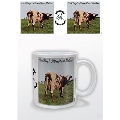 PINKFLOYD マグカップ/Atom Heart Mother