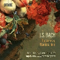 J.S.バッハ: 6つのヴァイオリン・ソナタ BWV.1014-1019