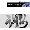 SOUL VOICE