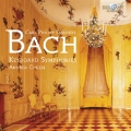 C.P.E.Bach: Keyboard Symphonies