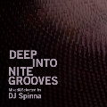Deep Into Nite Grooves Mixed and Selected by DJ Spinna