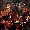 The Butterfly Effect ～In the Romeo & Juliet～ (TYPE-B) [CD+DVD]