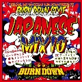 100% JAPANESE DUB PLATES EXCLUSIVE MIX CD BURN DOWN STYLE JAPANESE MIX 10