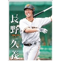 長野久義(読売ジャイアンツ) カレンダー 2019