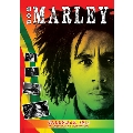 Bob Marley / 2014 Calendar (Dream International)