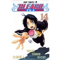 BLEACH -ブリーチ- 14