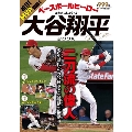 ベースボールヒーロー大谷翔平BOOK