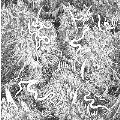 Gosudar/Malignant Altar Split<限定盤>