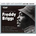 ザ・ロスト・ソウル・オブ・フレディ・ブリッグス