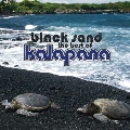 BLACK SAND: THE BEST OF KALAPANA