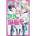 総長さま、溺愛中につき。(3)クールな総長の甘い告白