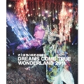 史上最強の移動遊園地 DREAMS COME TRUE WONDERLAND 2011<通常盤>