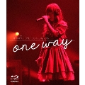 藤田麻衣子 LIVE TOUR 2014-2015 one way